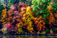 Fall at Durant Nature Park