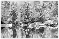 Snowy Reflections in B&W