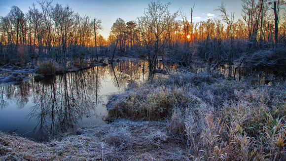 Wetland Sunrise