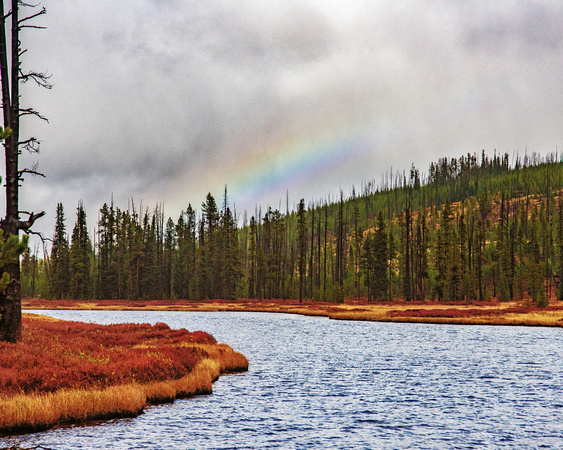 Rainbow on the Yellowstone